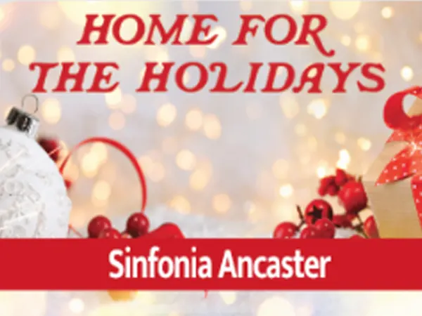 Home For The Holidays