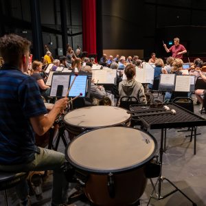 Richard Burrows... a timpanist's view of Sinfonia Ancaster